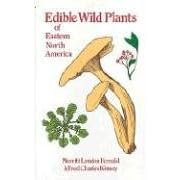 Edible Wild Plants of Eastern North America by Merritt Lyndon Fernald and Alfred Charles Kinsey
