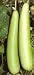  : Bhim Bottle gourd seed packet
