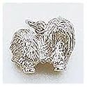 Dog, Maltese Charm