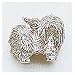 Dog, Maltese Charm