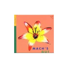Pico, Mach's gut