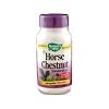 Natures Way Standardized Horse Chestnut Extract 90 Capsules