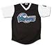 Minor League Baseball Wilmington Waves Adult V Neck Jersey