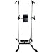 Sporting Goods : CAP Barbell Xodus Vertical Knee Raise / Pull Up & Dip Station