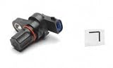 Raybestos ABS530780 Sensor-Rud