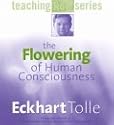 The Flowering of Human Consciousness