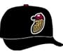 Minor League Baseball Cap - Modesto Nuts Home Cap by New Era