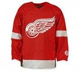 Detroit Red Wings Youth Triumph Logo Hooded Sweatshirt - Medium (10-12)