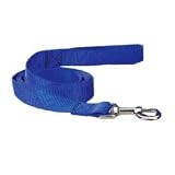 Nylon 6 Foot Dog Leash, Color: Blue