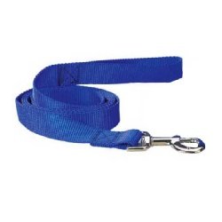 Nylon 6 Foot Dog Leash, Color: Blue