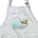 Londons Times Funny Society Cartoons - Planes Found Bermuda Triangle Lost - Aprons