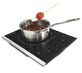Frigidaire Portable Induction Cooker