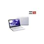 Sony VAIO SVE1113M1E - Ordenador port�til de 11.6"  (AMD E2-2000, 4 GB de RAM,  500 GB de disco duro,  Windows 8) - color blanco - teclado QWERTY espa�ol