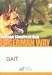 The German Shepherd Dog: Gait Video