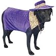 Pimp Dog Costume