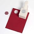 Martha Stewart Medium Double Punch - Nordic Snowflake