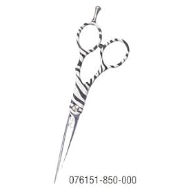 Buy Ae Professional Shear, Zebra Design Handles With Japanese Stainless Steel Forged Blades 5.75 by AE