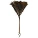 Casabella 67202 EZ Dust it 20-Inch Ostrich Feather Duster, Wood