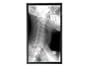 65IN LCD 1920X1080 PNG655UP 3YR PNG655RU with Protective Overlay