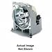Canon LV LP26 - Projector lamp