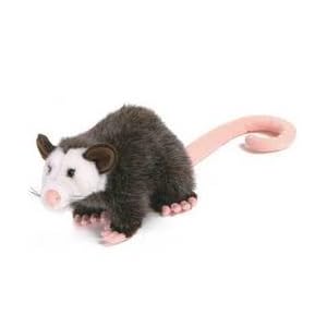 Stuffed Possum