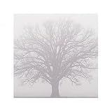 Soft Light I, Print, 500 x 500 mm, Artist: Adam Brock