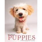 Puppies Calendar 2009