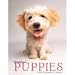 Puppies Calendar 2009