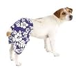 Dog Shorts - Casual Canine Hibiscus Shorts - X-Small (XS)