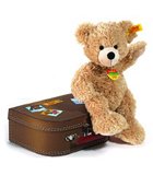 Personalized Suitecase Fynn bear http://www.huggableteddybears.com/product.php?productid=17539