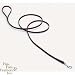 Pet Supplies : Coastal Pet Circle T Latigo Leather Dog Leash Training Lead (6 ft. x 1/2 inch W)