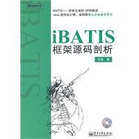 iBATIS framework source code analysis