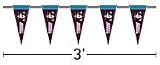Atlanta Thrashers Pennant String (3 foot)