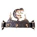 Iron coat rack, 'Kokopelli Serenade' Image