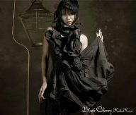 Black Cherry (DVD付) 倖田來未 Bro.KORN h-wonder ANDREAO“FANATIC”HEARD THE CONGLOMERATE