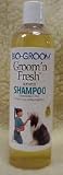 BIOGROOM GROOM N FRESH SHAMPOO 12 OZ