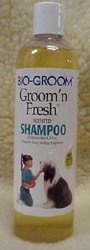 BIOGROOM GROOM N FRESH SHAMPOO 12 OZ