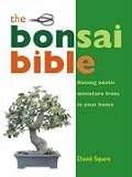 Books : The Bonsai Bible: Raising Exotic Miniature Trees in Your Home
