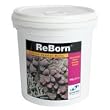 Reborn - Coral Gravel for Calcium Reactor - 4 kg - 8.8 lb. Reborn - Coral Gravel for Calcium Reactor - 4 kg - 8.8 lb.