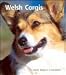 Welsh Corgis 2009 Hardcover Engagement Calendar