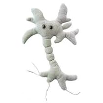 BRAIN CELL (NEURON) GIANT MICROBES PLUSH [Toy] [Toy]
