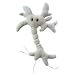 GIANT Microbes - Brain Cell (Neuron) - Plush Toy