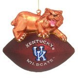 NCAA Kentucky Wildcats Glass Mascot Football 6
