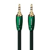 AUDIOQUEST - EVERGREEN MINI-TO-MINI 3.0M