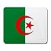 Algeria Flag Mouse Pad