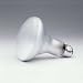 Tools & Hardware : SYLVANIA LIGHTING 65W/BR30/IF/SPO REFLECTOR SPOT BULB 65W (PACK OF 6)