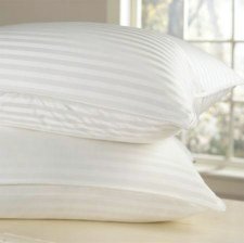 Set of Two 900 Thread Count 750 Fill Power Silk/cotton 