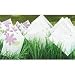 flower seed packets (love blooms)