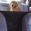 Auto Front Seat Safety Barrier - Black