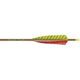 Archery: Beman Classic MFX Arrows